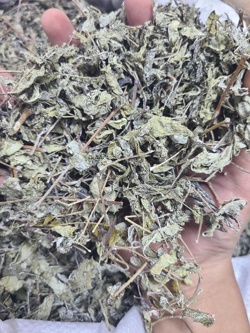 溪黄草溪黄茶全干无硫