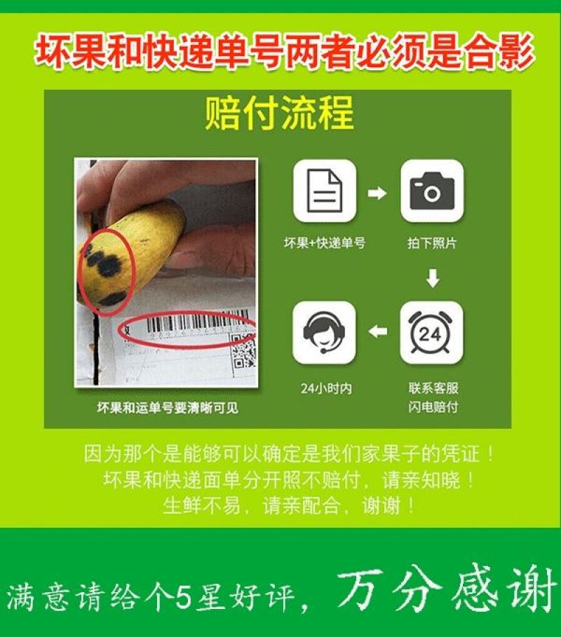 潮汕青橄榄新鲜当季水果金灶产地批发适合生吃泡酒腌制