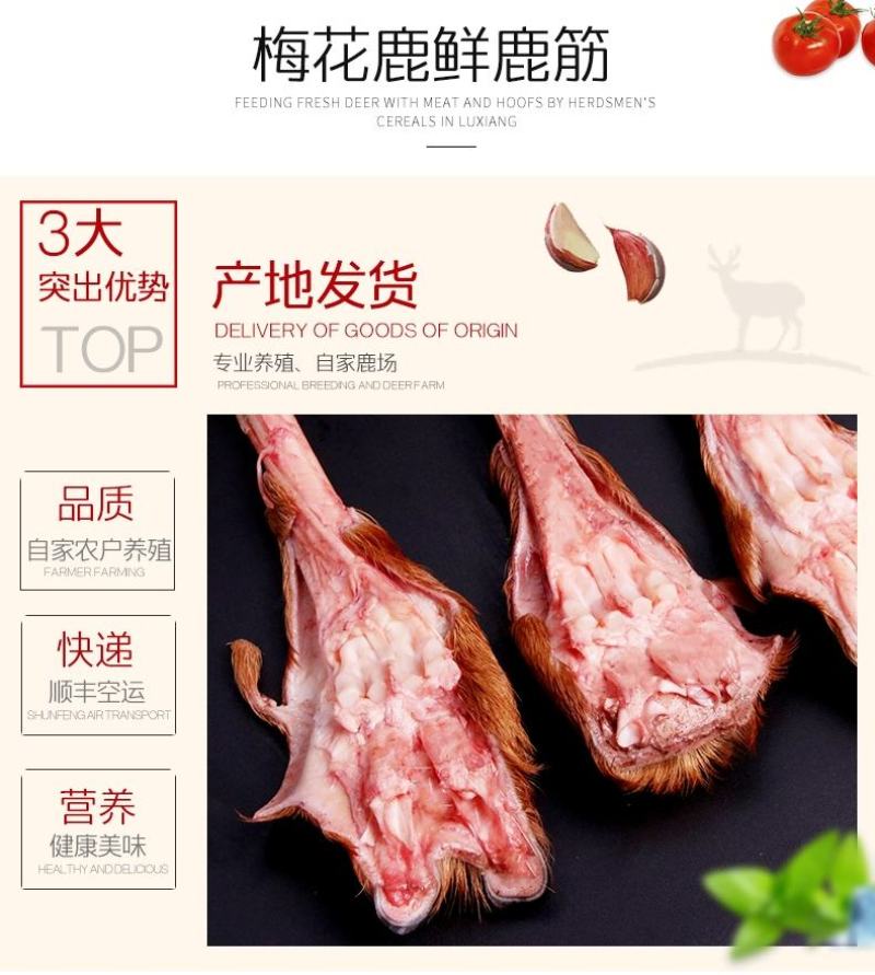 老御头正宗新鲜梅花鹿筋.鲜鹿肉鹿排骨顺丰空运48小时到货