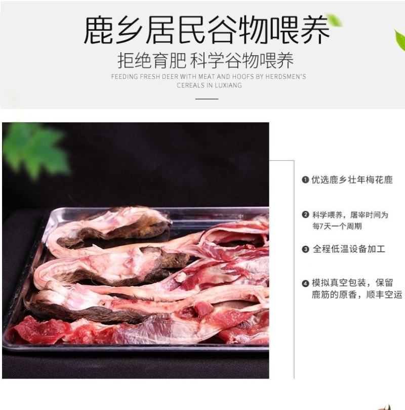 老御头正宗新鲜梅花鹿筋.鲜鹿肉鹿排骨顺丰空运48小时到货