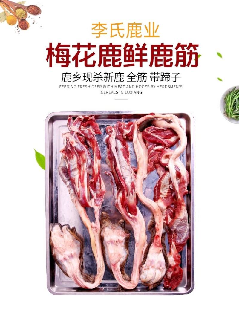 老御头正宗新鲜梅花鹿筋.鲜鹿肉鹿排骨顺丰空运48小时到货