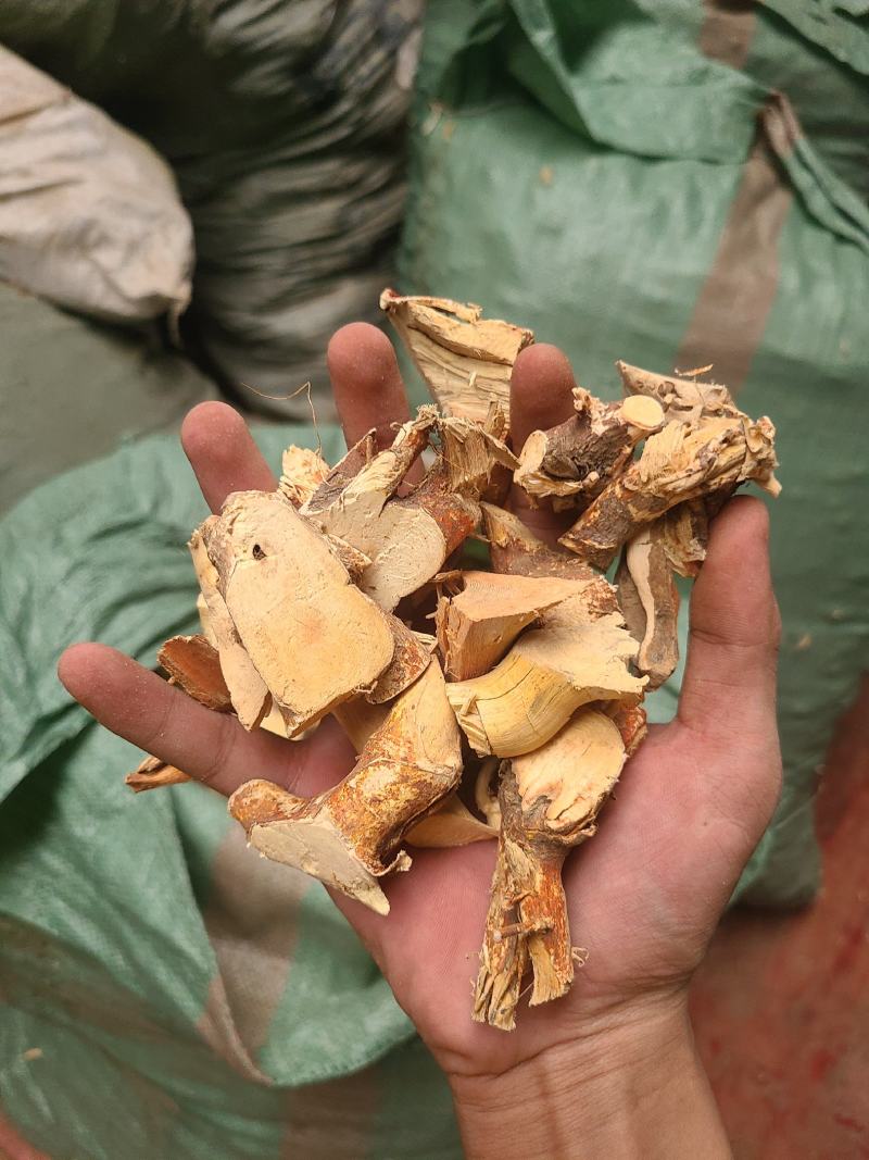 五指毛桃头粒大头干货头块切片，足干颜色好靓靓靓