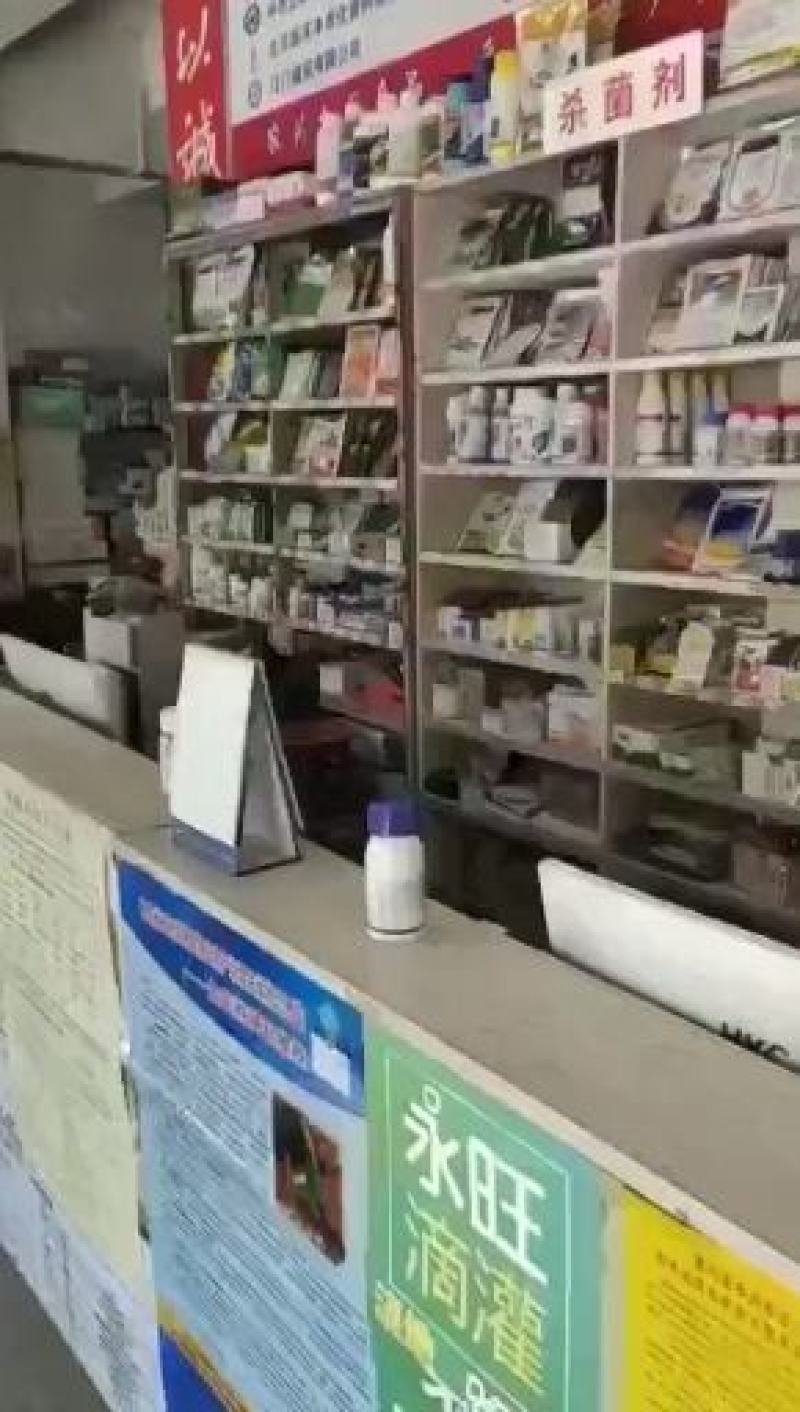 杀菌剂百菌清早疫病叶斑病霜霉病晚疫病