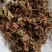 鱼腥草各种规格场地直供