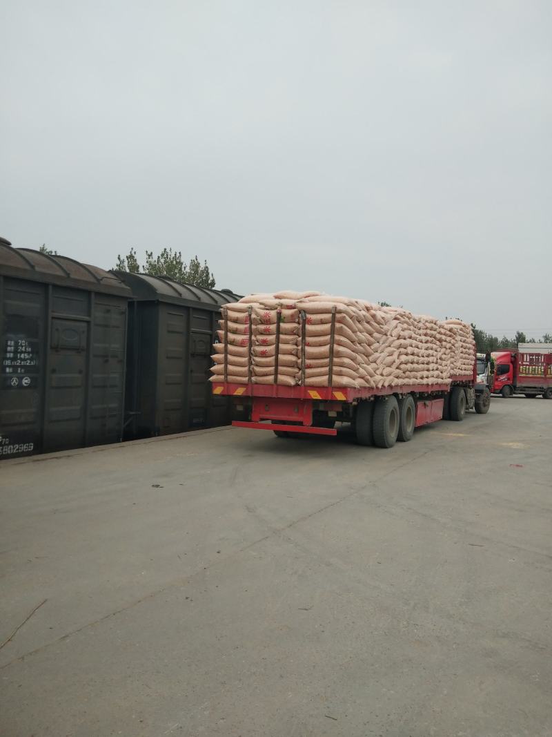 黄玉米，玉米，量大价格优惠，代办火车运输