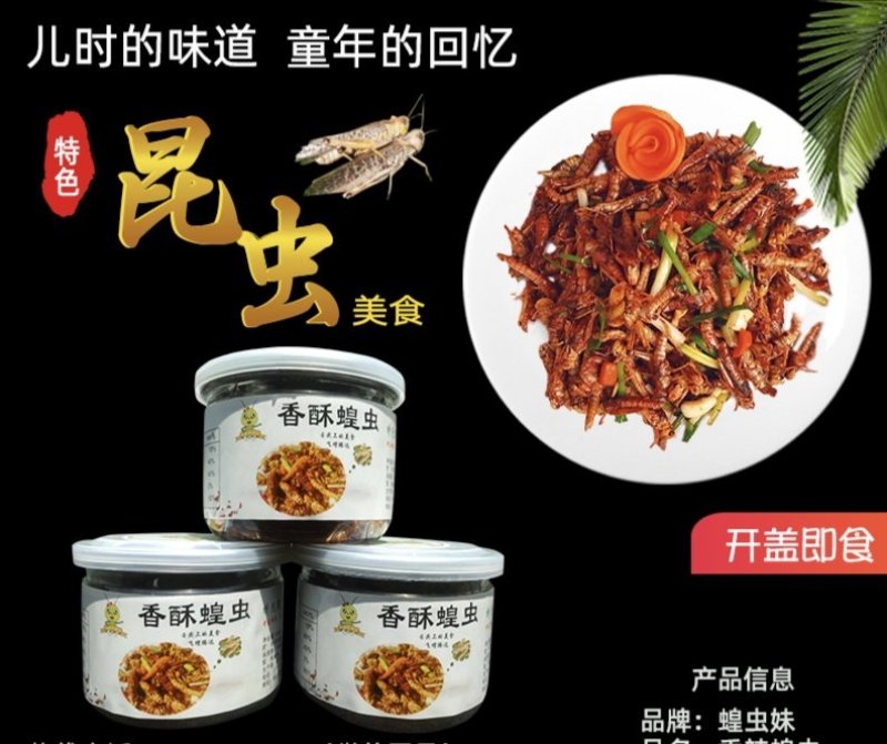 【油炸蚂蚱】香酥蝗虫罐头美食打开即食休闲零食