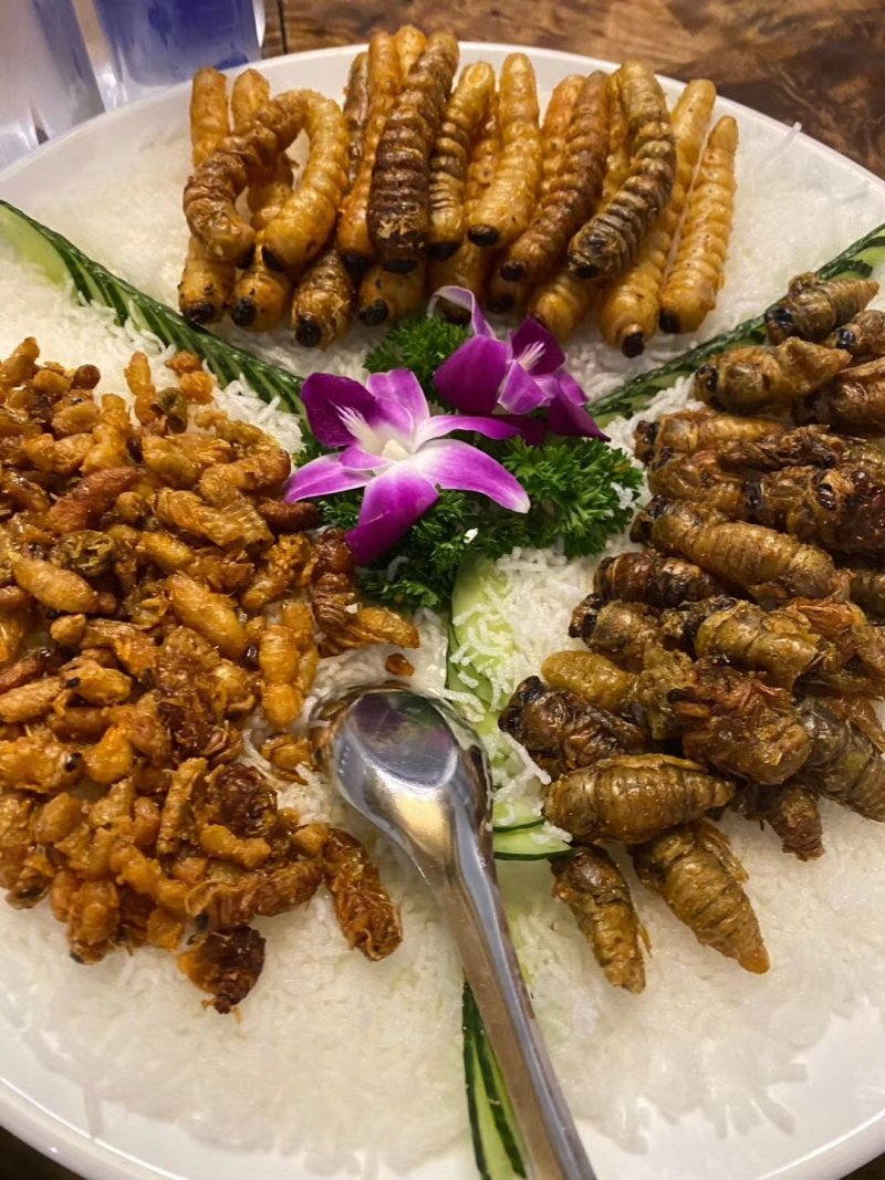 【油炸蚂蚱】香酥蝗虫罐头美食打开即食休闲零食
