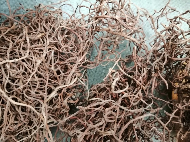 鱼腥草干根，无霉无硫，统货、选货精品均有