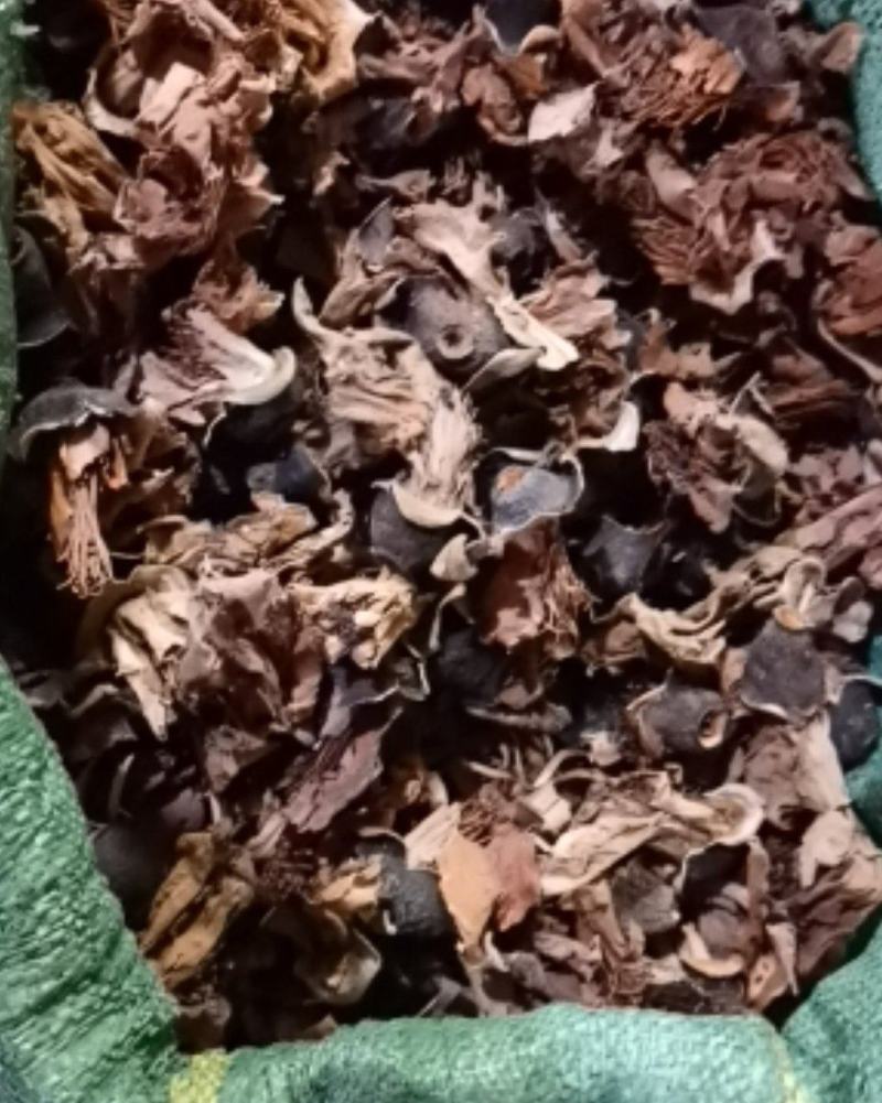 木棉花广东清远新货产地直供货源充足欢迎订购