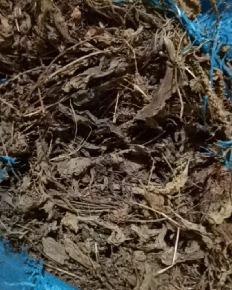 车前草各种规格，各种规格，产地直供，量大从优