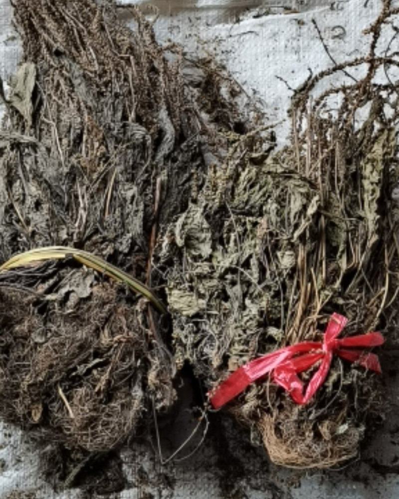 车前草各种规格，各种规格，产地直供，量大从优