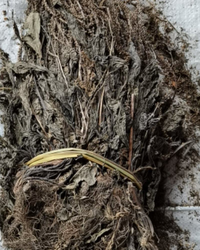车前草各种规格，各种规格，产地直供，量大从优