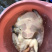 甲鱼土甲鱼精品甲鱼天然甲鱼产地一手货源
