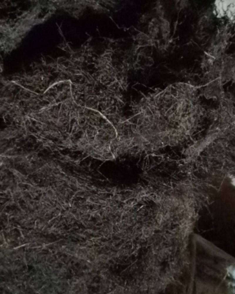 齐手正品白花蛇舌草，白花蛇舌草产地直供，欢迎选购
