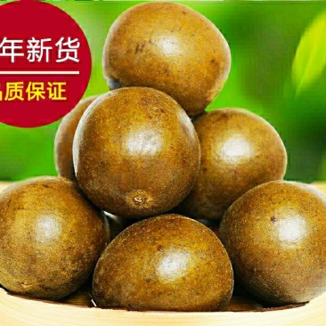 野生罗汉果中药材罗汉果泡水泡茶喝（50个1件包邮）