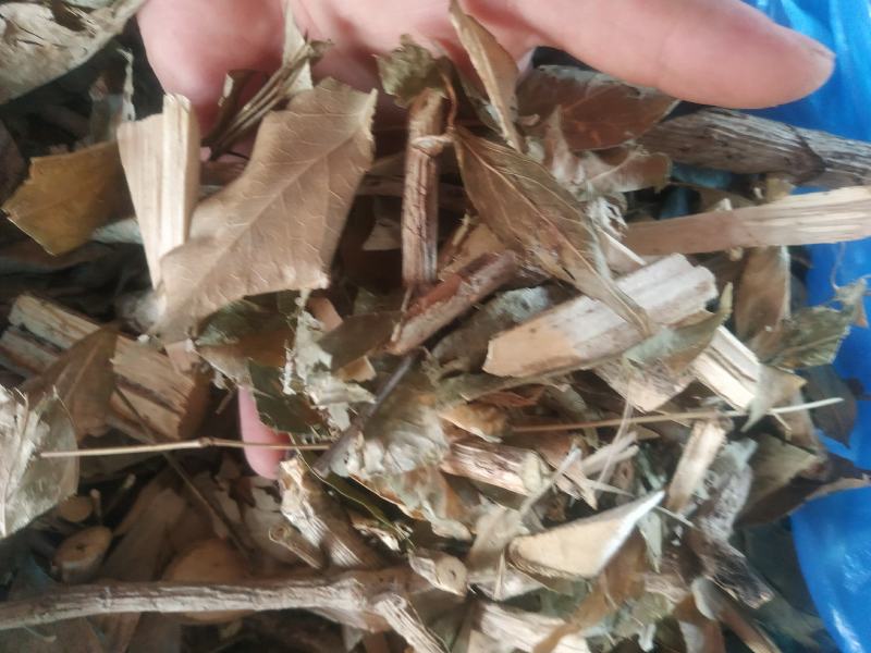 七叶莲～新货~切片~1公斤起售～质量保证～
