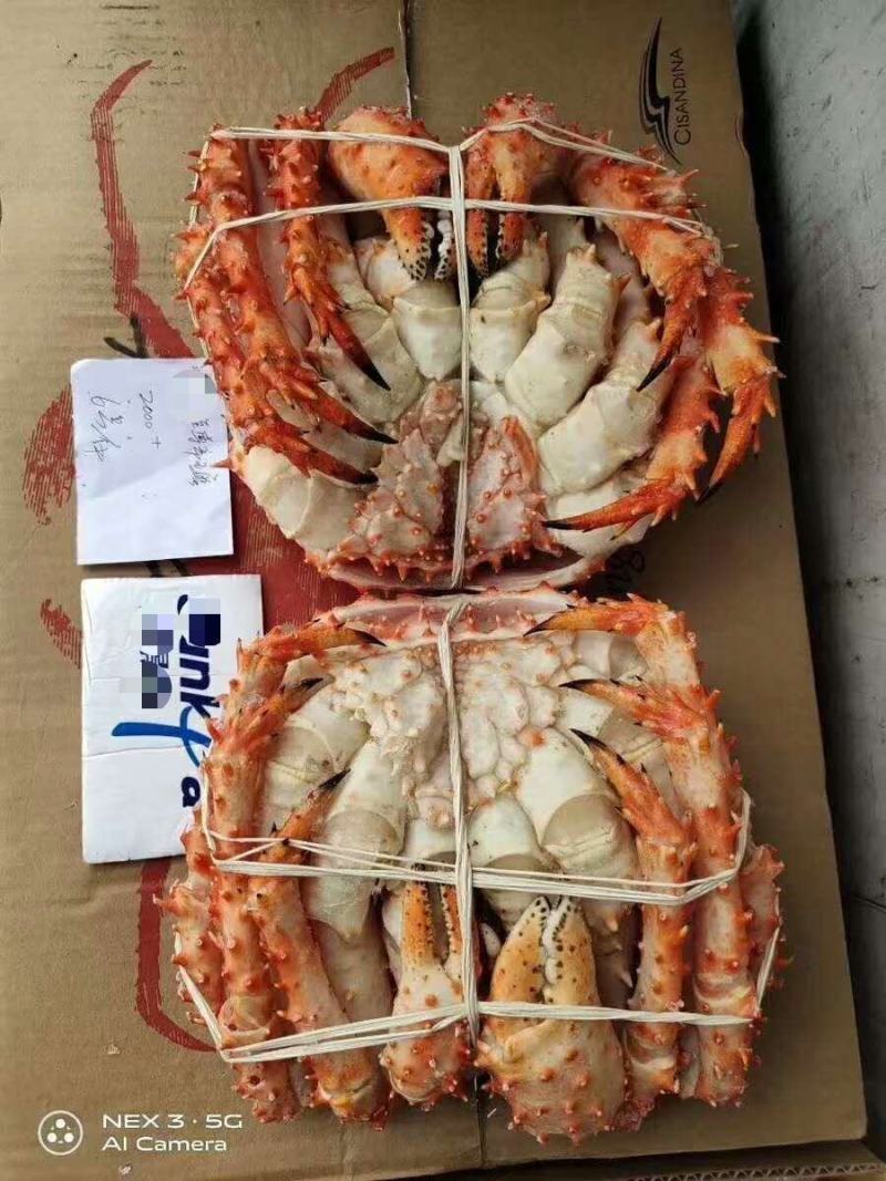 熟冻智利帝王蟹，熟冻帝王蟹，质量保证，价格从优