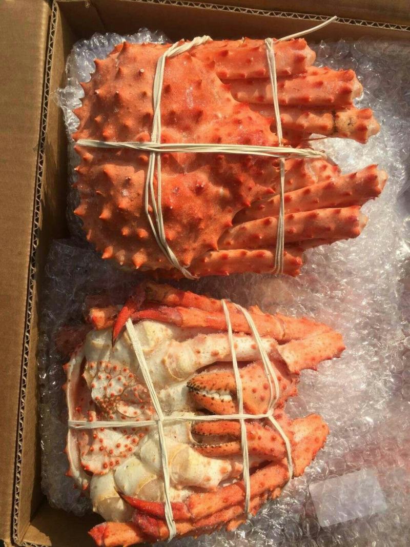 熟冻智利帝王蟹，熟冻帝王蟹，质量保证，价格从优