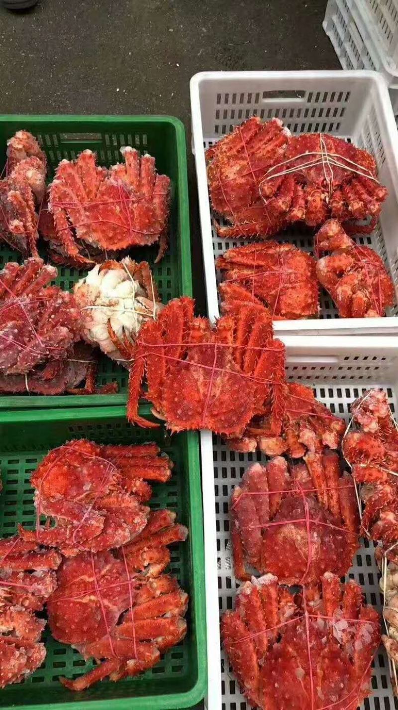 熟冻智利帝王蟹，熟冻帝王蟹，质量保证，价格从优