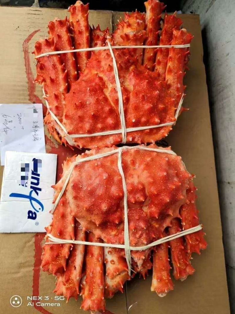 熟冻智利帝王蟹，熟冻帝王蟹，质量保证，价格从优