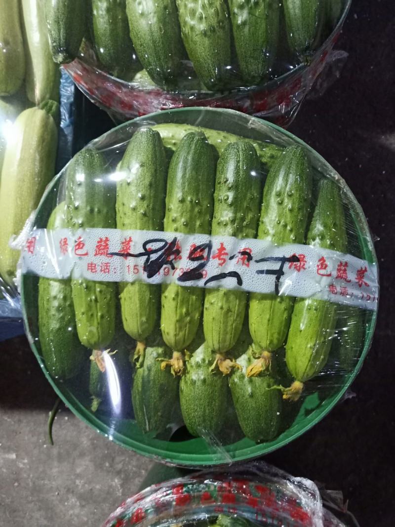 黄瓜！大刺！密刺！中刺！水果黄瓜！应有尽有！欢迎前来采购