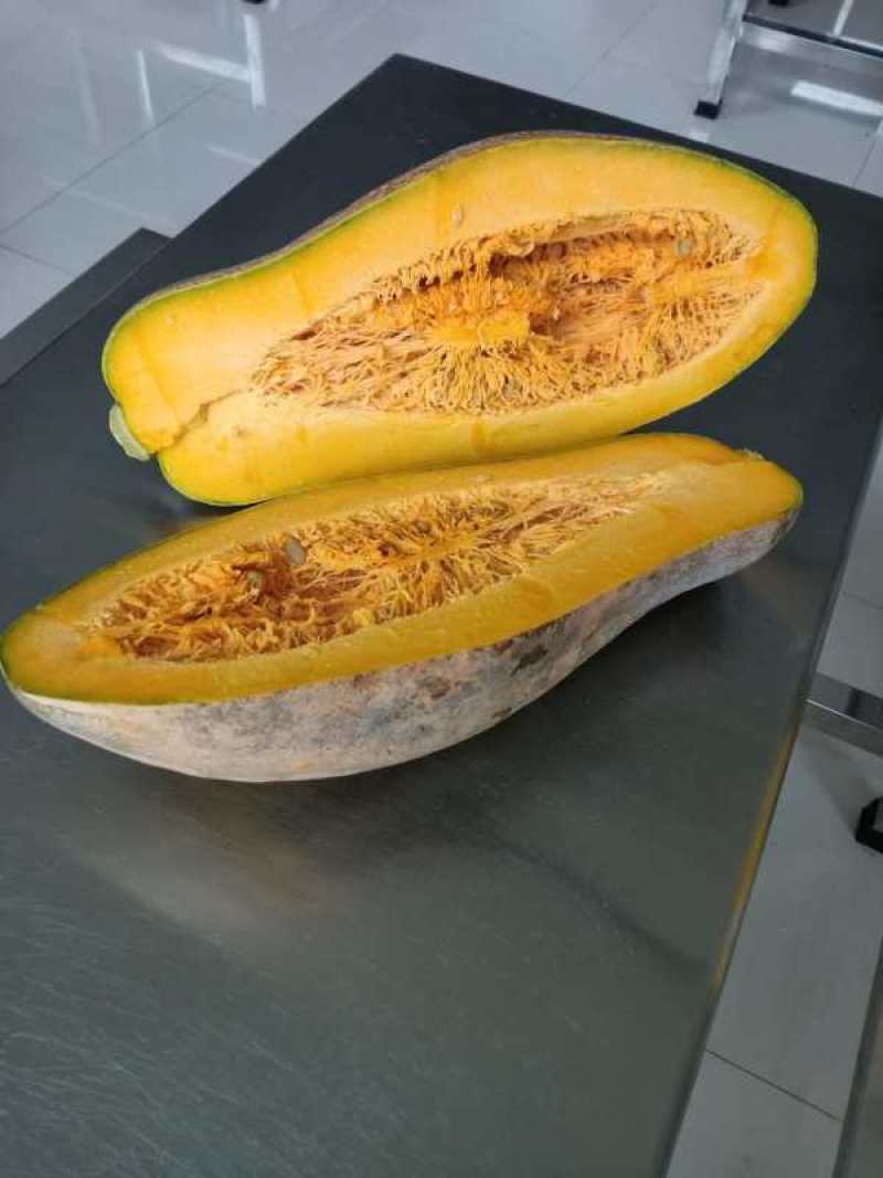 贵州生态种植丶香芋瓜