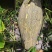 贵州生态种植丶香芋瓜