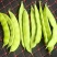 豆角！直板九月青，六粒王，七粒王！架豆王！一棵松，盖世