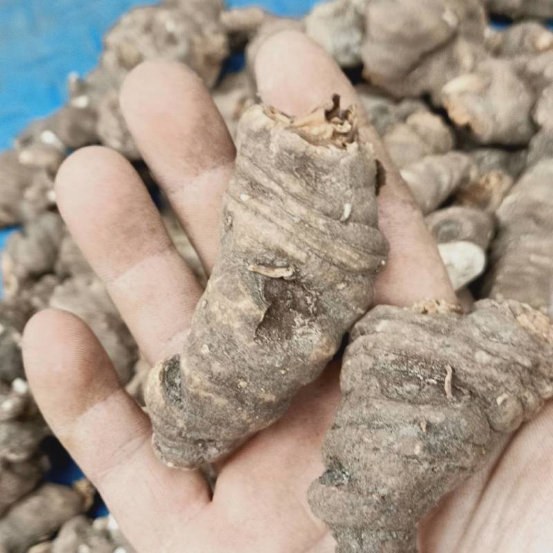 中药材正品重楼七叶一枝花蚤休粉质重楼250克包邮