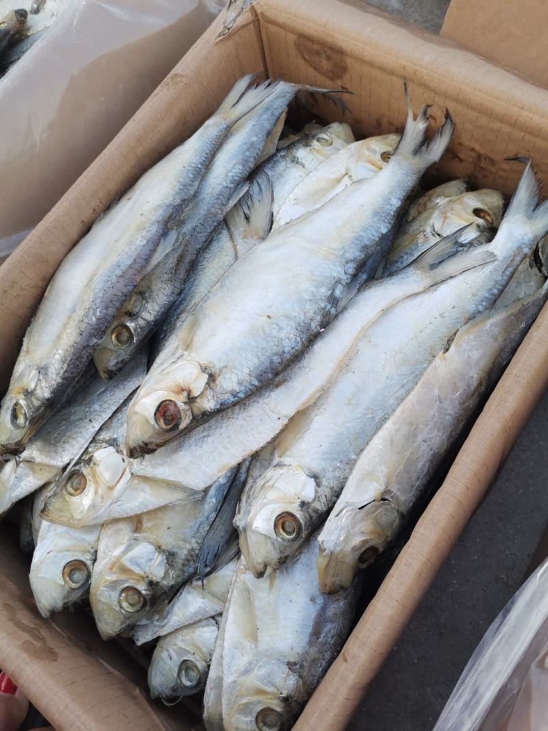 深海白鳞鱼，肉质细腻紧实，可蒸，煎，炸，都非常好吃