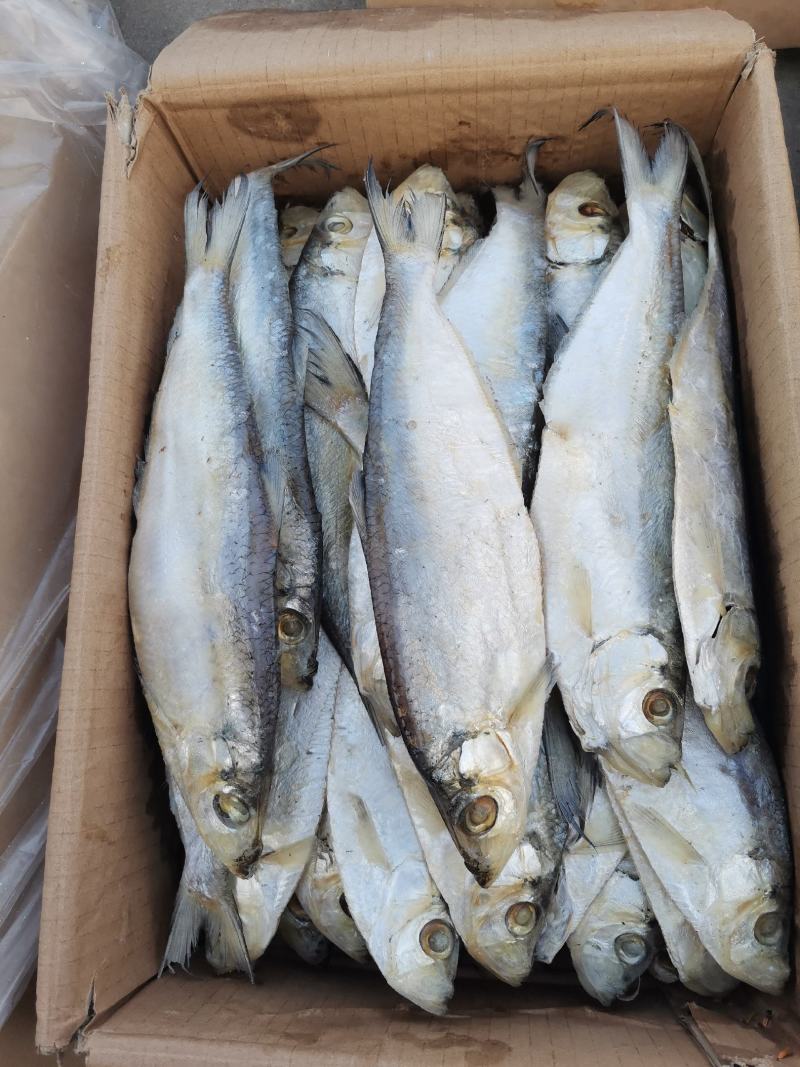 深海白鳞鱼，肉质细腻紧实，可蒸，煎，炸，都非常好吃