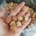新疆无花果干，休闲小零食新鲜特产级泡水煲汤