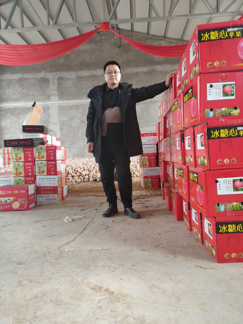 冰糖心红富士，山西运城，临猗2026新摘高原坡上大量上市