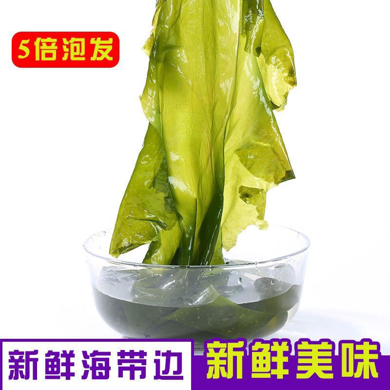 海带头鲜海带头厚海带头凉拌海带头包邮
