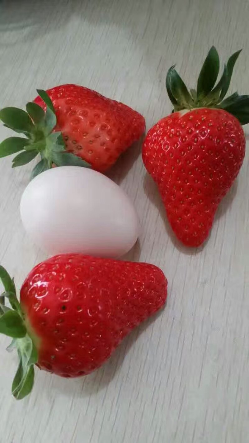 艳丽草莓批发品种纯正量大优惠多签订品种质量合同