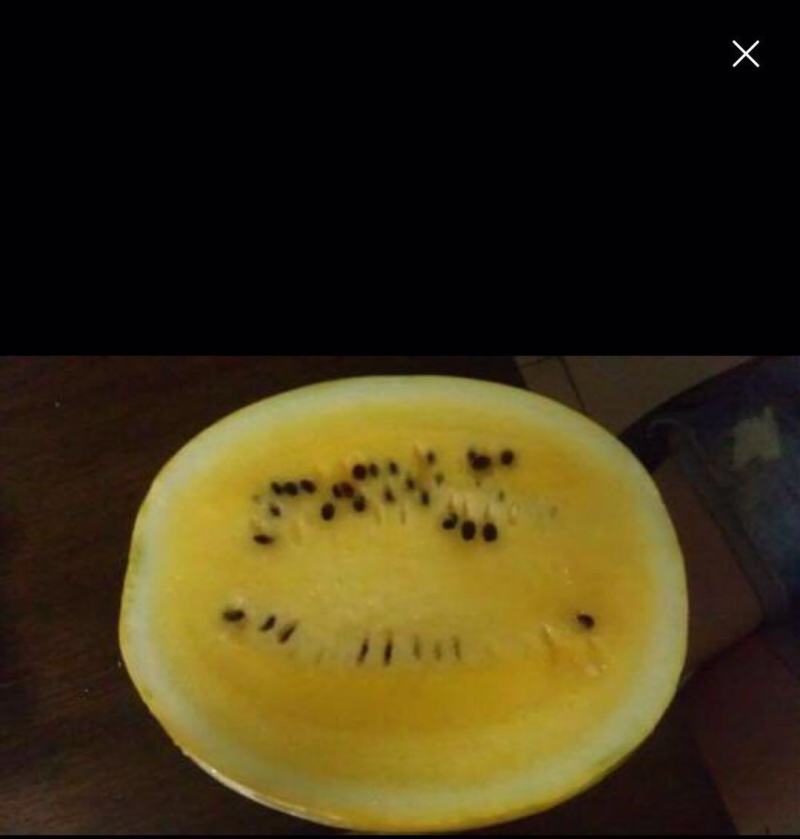 黄西瓜水果新鲜黄皮黄心黄色黄肉黄壤当季西瓜4斤顺丰包邮