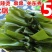 盐渍海带结厚实海带结凉拌炖肉海带结鲜海带结5斤装包邮
