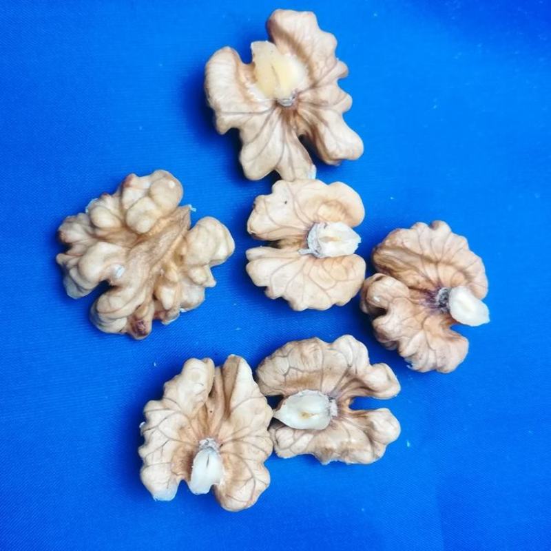 陕西商洛手剥山核桃仁生原味散装新货大仁孕妇核桃肉500g
