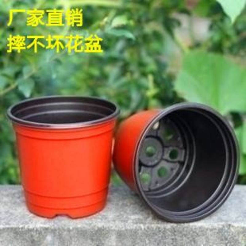 江苏厂家直供塑料双色盆，可以多次使用，质优价廉，规格齐全
