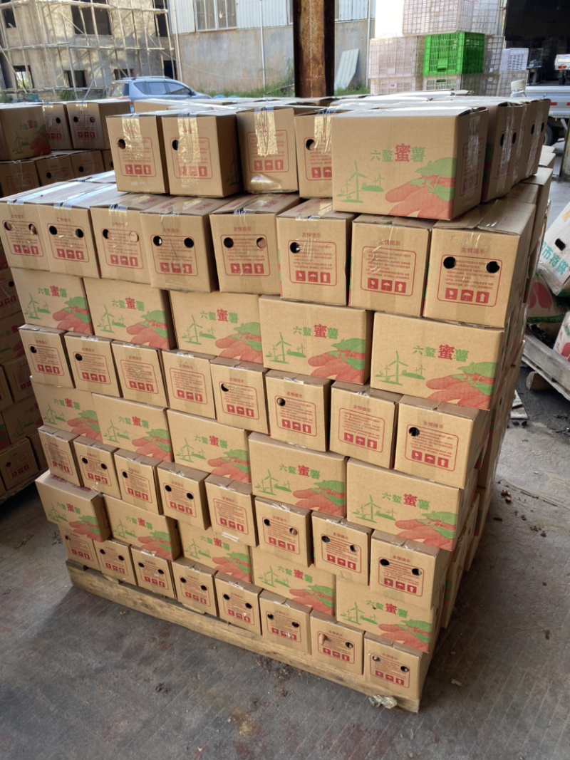 六鳌红蜜薯社区拼团微商拿货批发上车价每天稳定发货