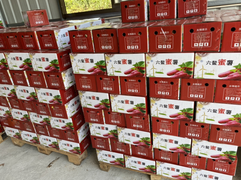 六鳌蜜薯大果净重5斤7-13个大宗批发社区拼团。