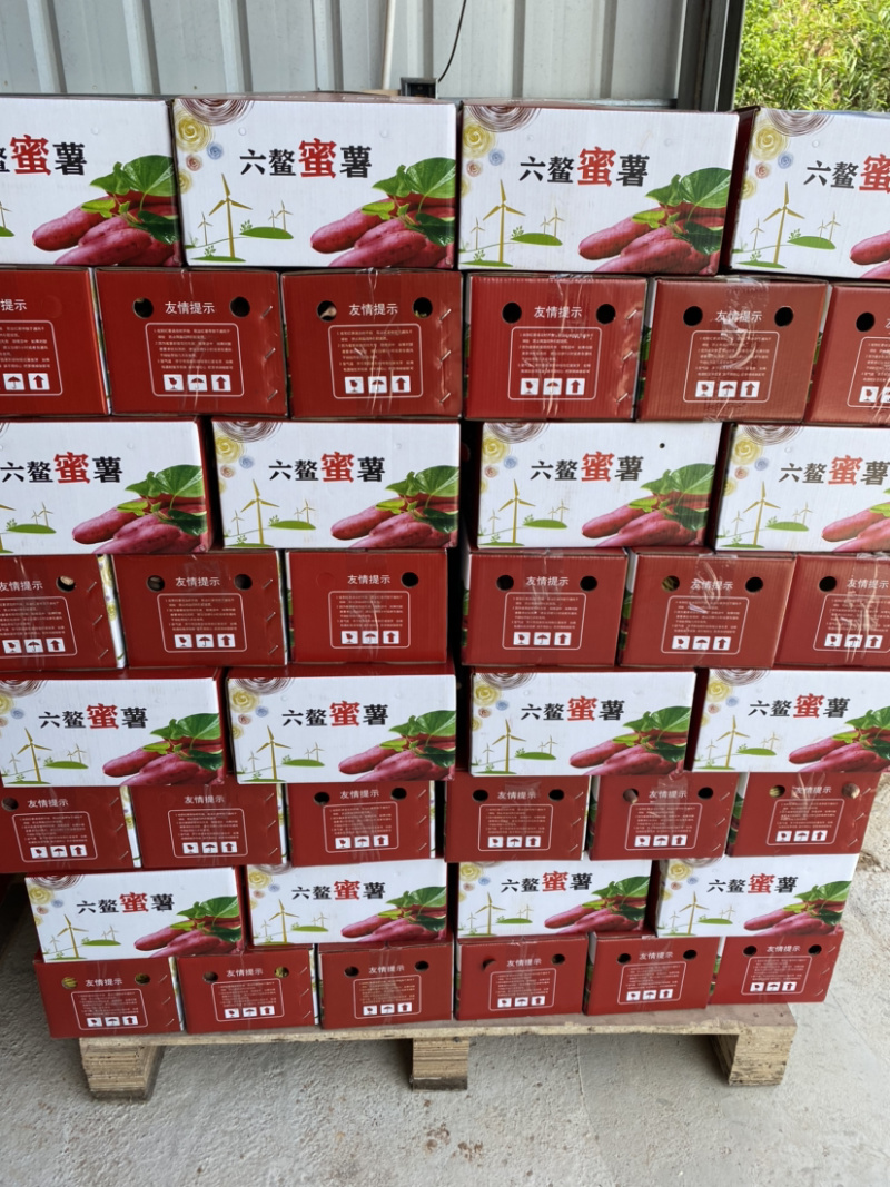 六鳌蜜薯大果净重5斤7-13个大宗批发社区拼团。