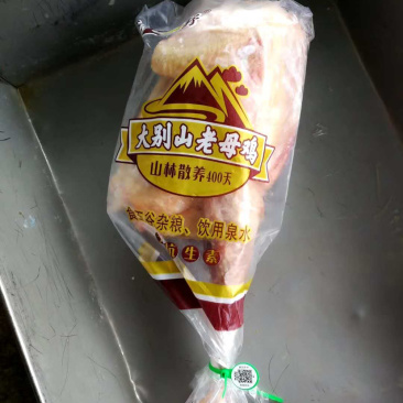大别山，跑山鸡，公鸡母鸡24块钱一只
