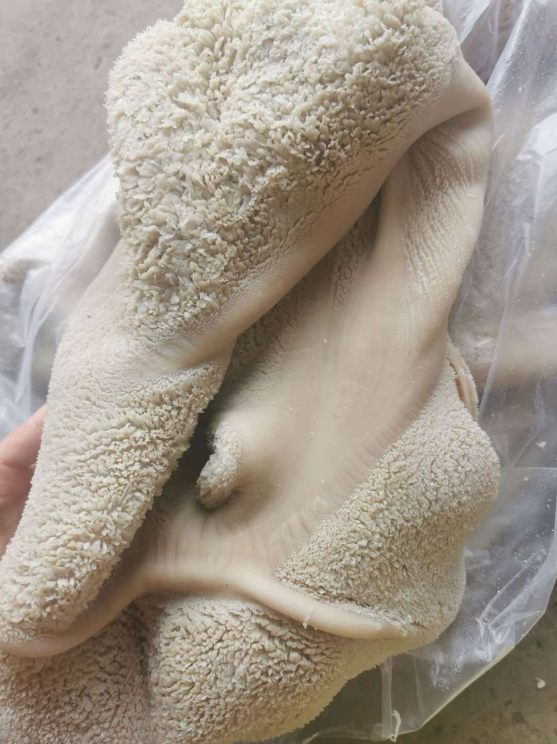 清真全熟羊肚现货精修自己工厂加工干净