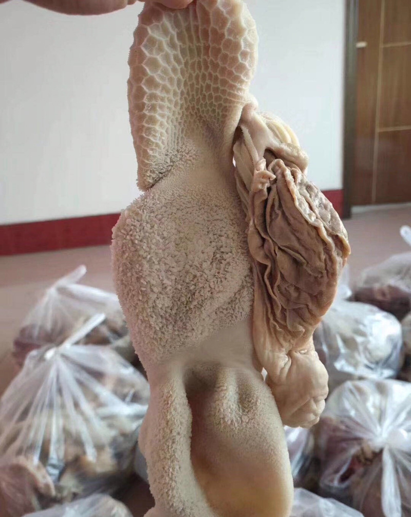 清真全熟羊肚现货精修自己工厂加工干净