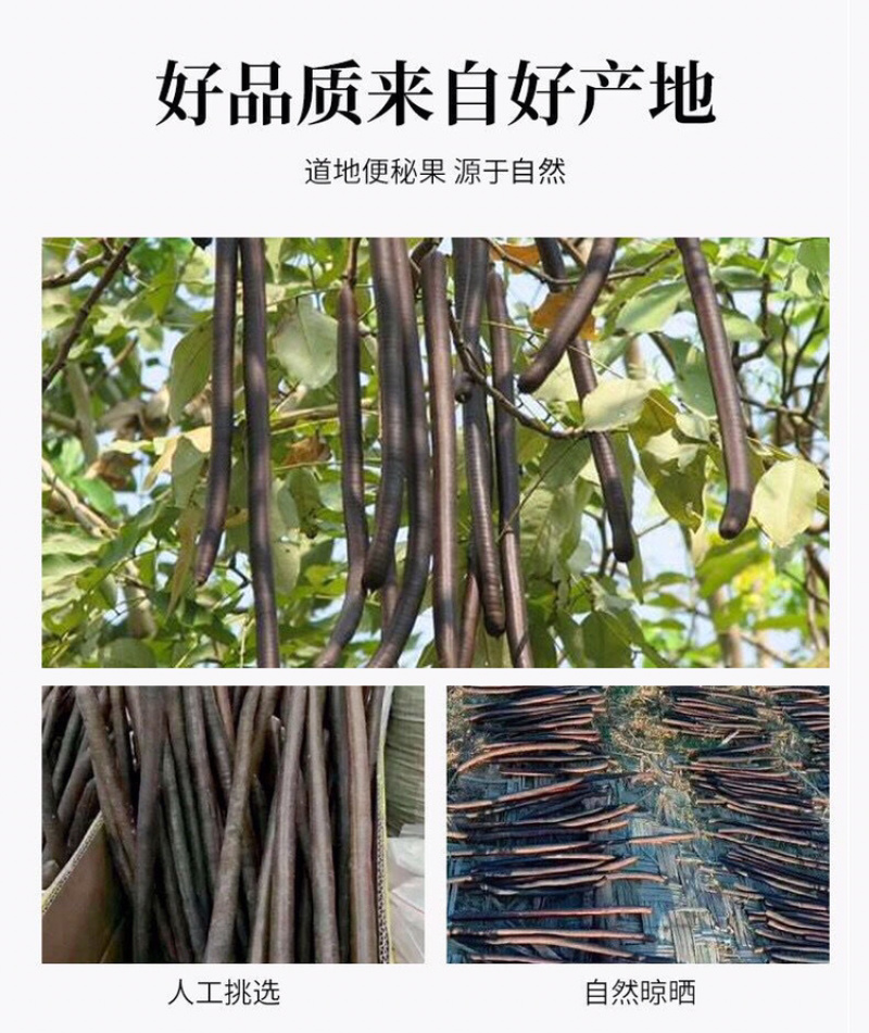 缅甸便秘果纯植物腊肠果天然便秘果包邮
