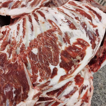 清真羊排羊光排质量有保证烧烤炖食材手续齐全