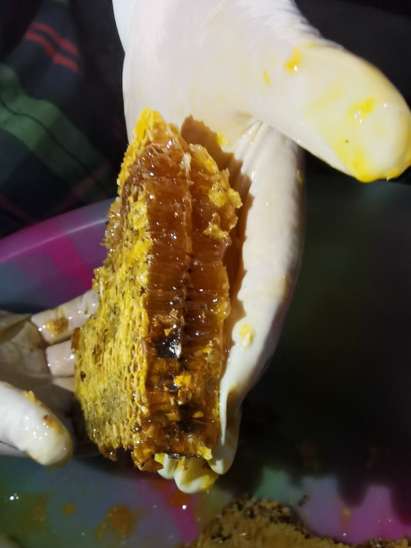 野生土蜂蜜，一年只取一次，或者两年取一次