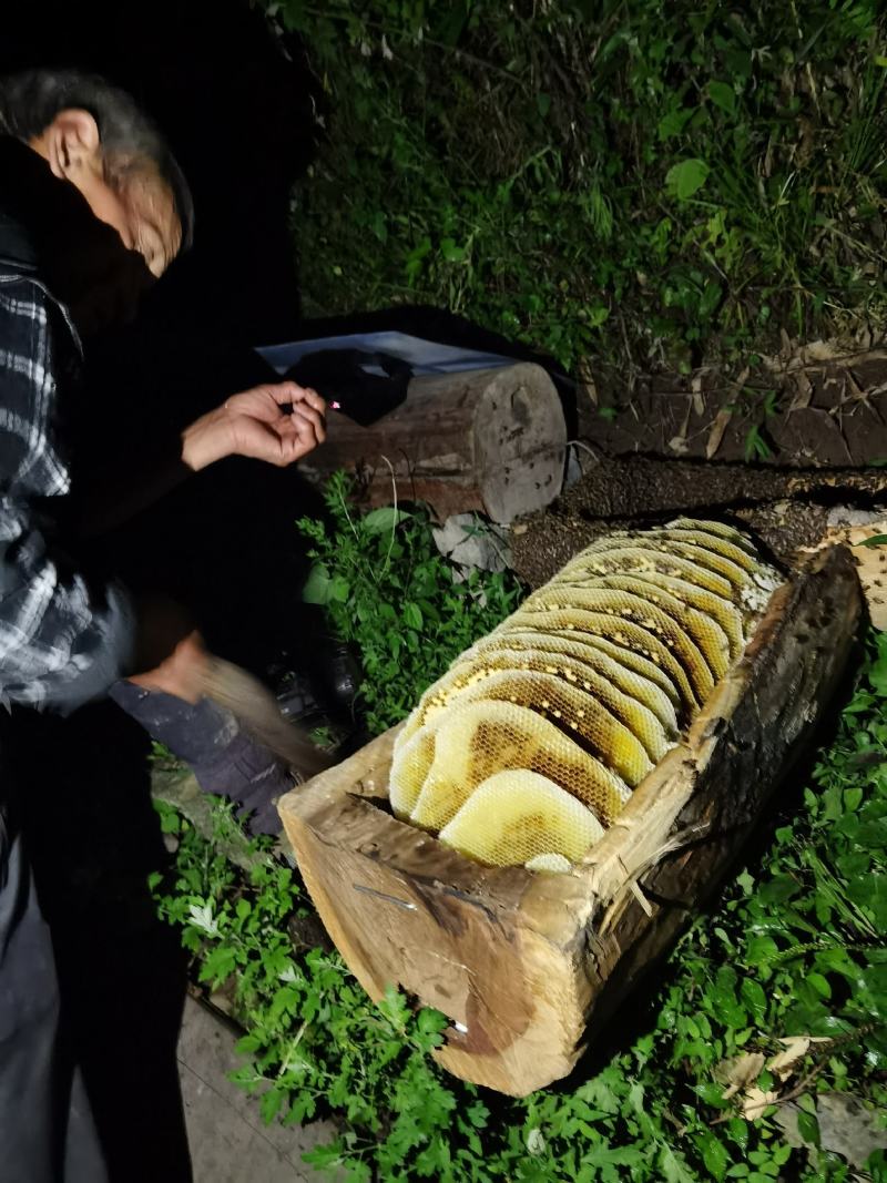 野生土蜂蜜，一年只取一次，或者两年取一次