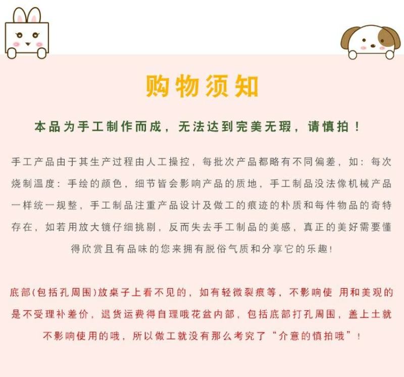 多肉花盆可爱卡通个性韩欧式花盆陶瓷创意清新美丽花盆